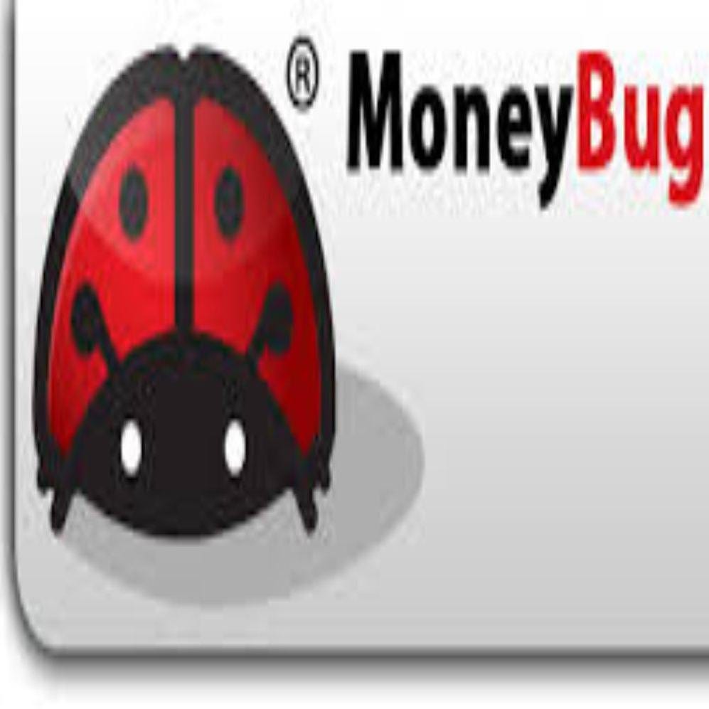 Moneybugbuys Medium Moneybugbuys Medium