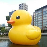 Yuko Yamaguchi Medium