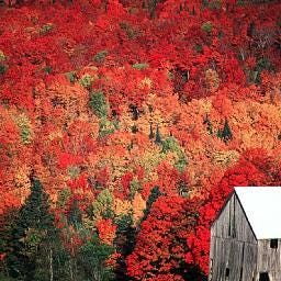 agag agag – Medium