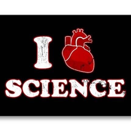 About – Judith Chipps – Medium