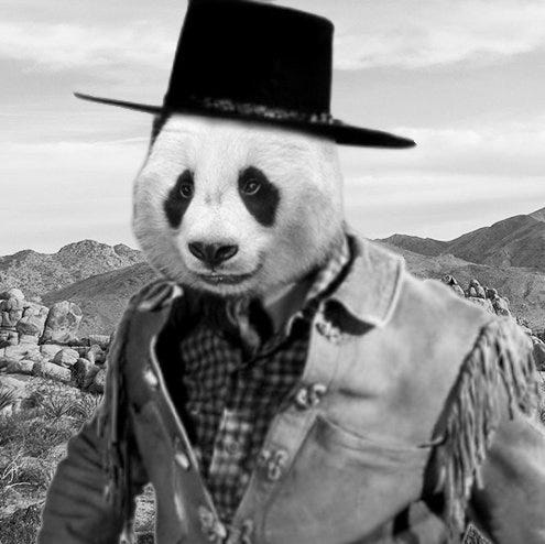 The westerner – Medium