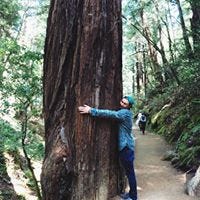Hunter Rex Bothwell – Medium