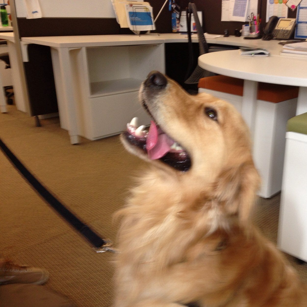 Michael A. Sterling – Medium