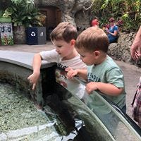 Jake Jones – Medium