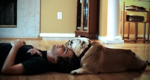 Charlie Waters – Medium