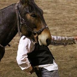 Felipe Sakai – Medium