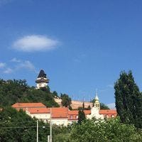 About – Millaray Mistral – Medium