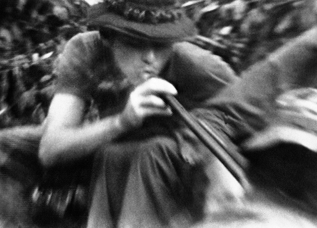 shotgun a cigarette Smoking Barrel - Photographic Print, outdoor lovers The practice known as shotgunning
