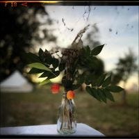 Jonathan Gregory – Medium