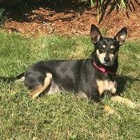 Kristen Marie – Medium