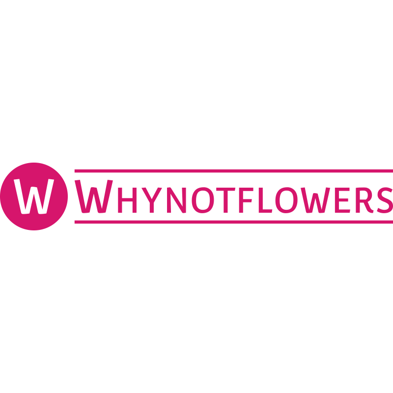 Why Not Flowers Medium why-not-flowers-medium
