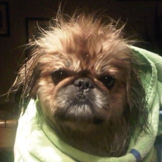 Rodney Roe – Medium