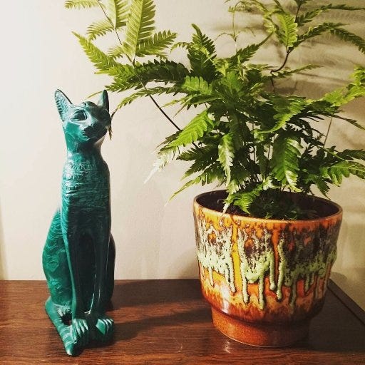 plant.furniture – Medium