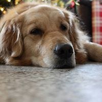 Kathy Roberts – Medium