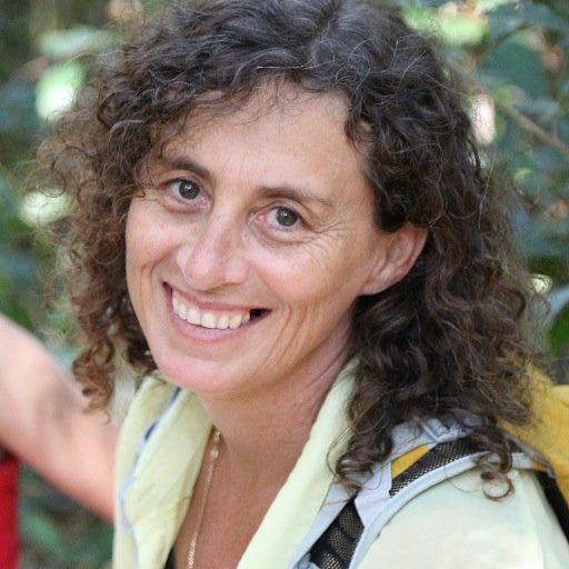 Paula Fletcher Medium