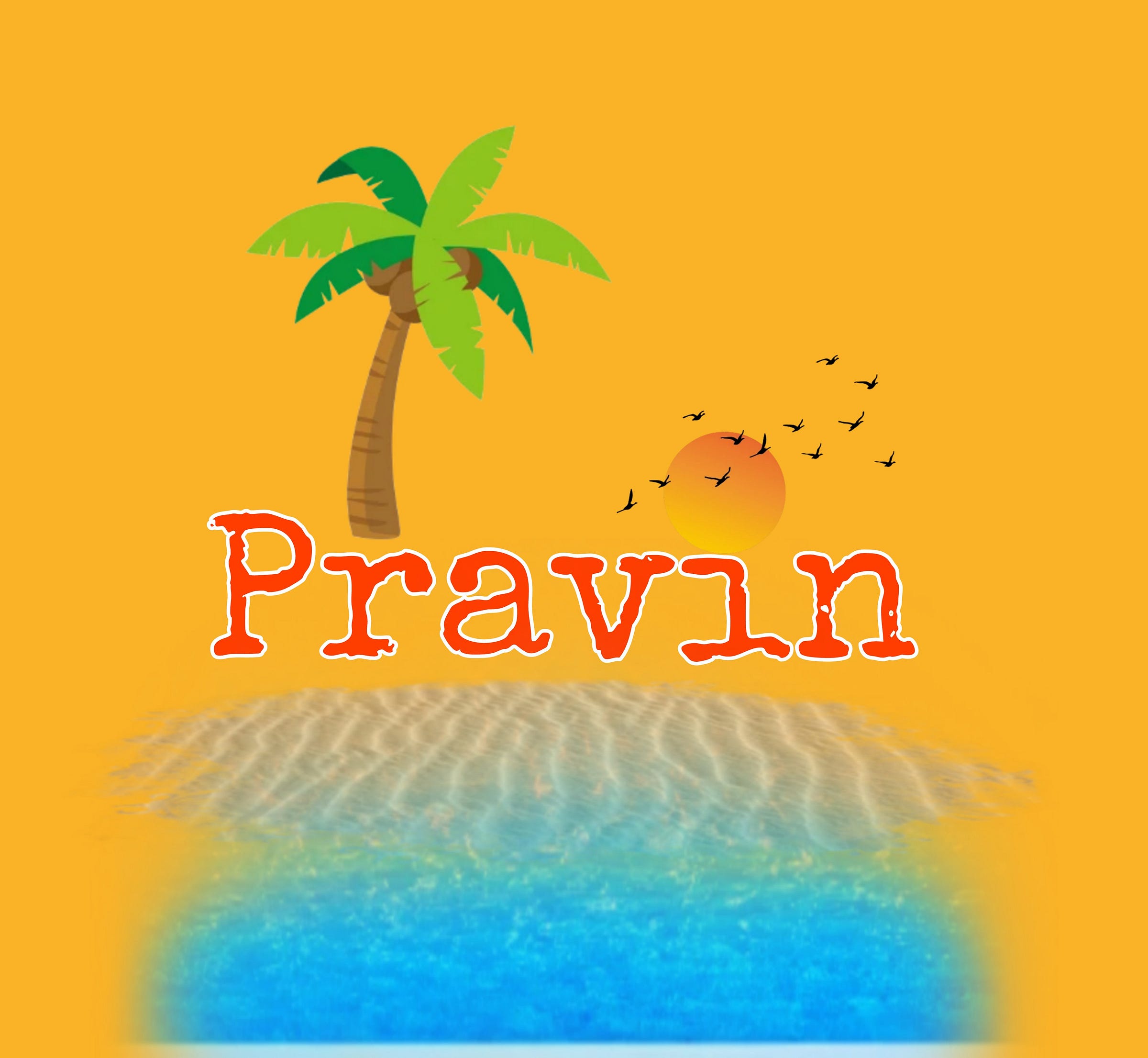 Pravin M1989 Medium pravin-m1989-medium