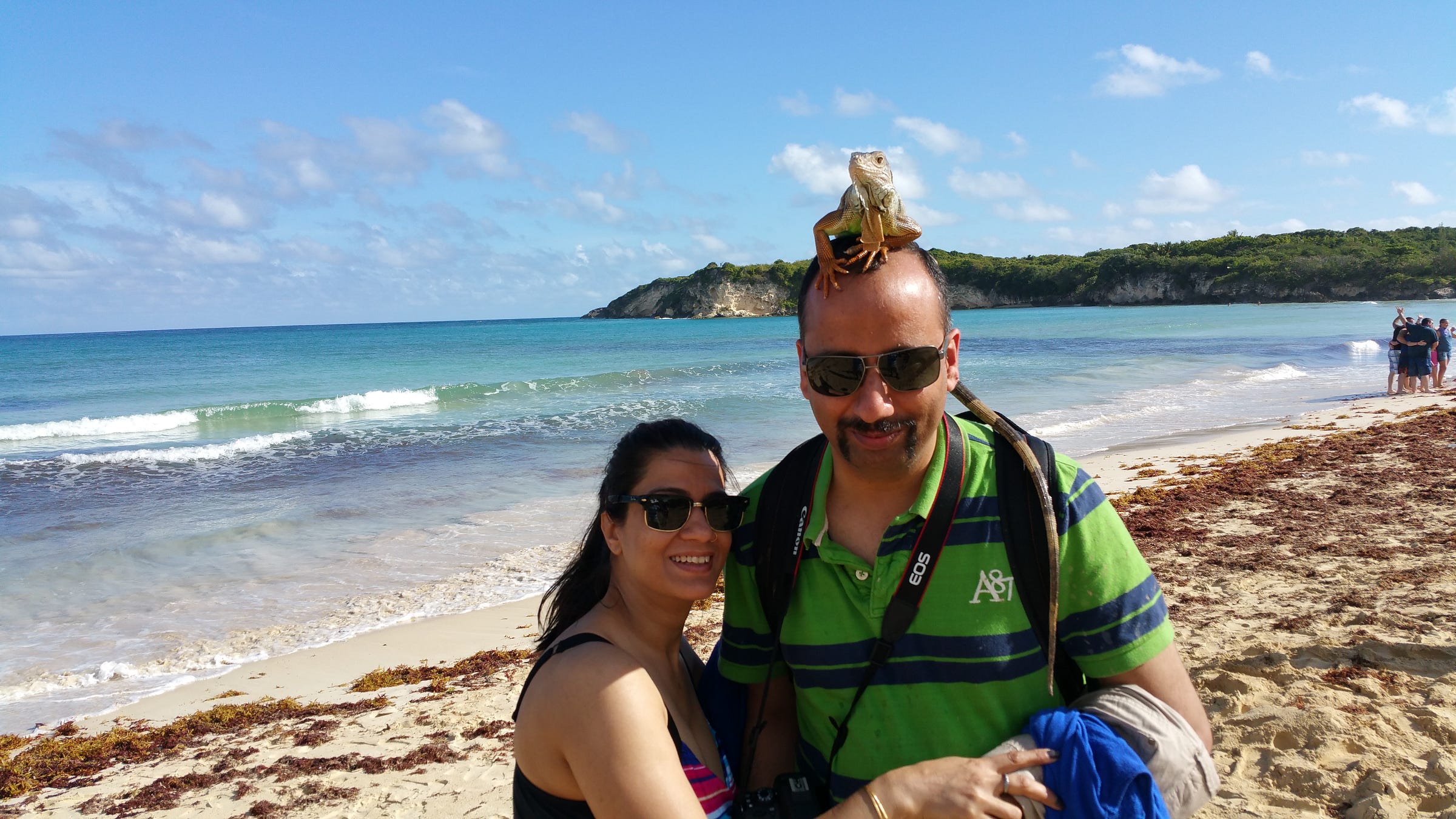 Vishal Vashisht Medium