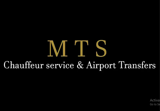 mehdi travel services