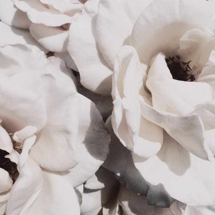 virgin diary – Medium