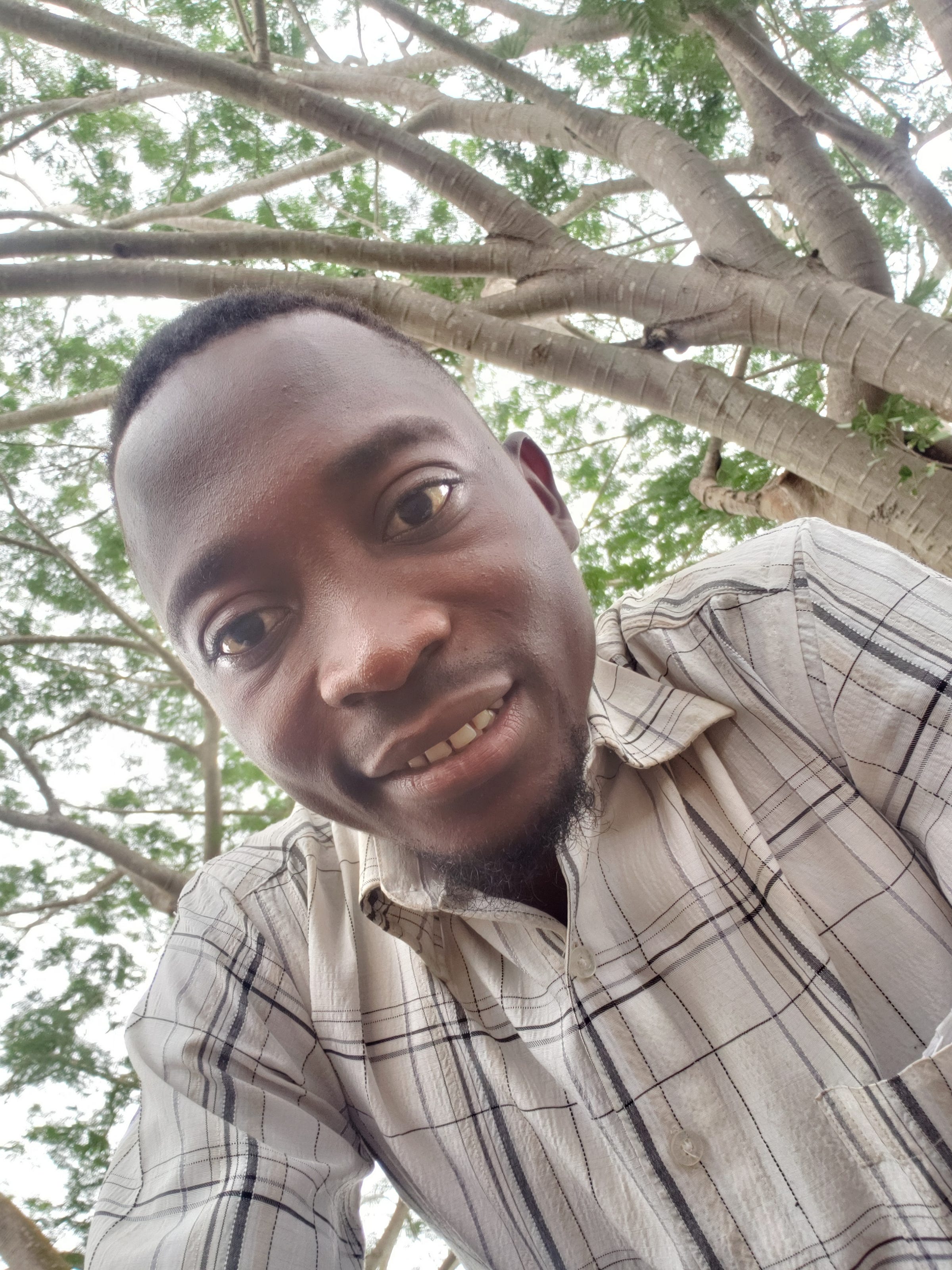 Otedola Odusanya – Medium
