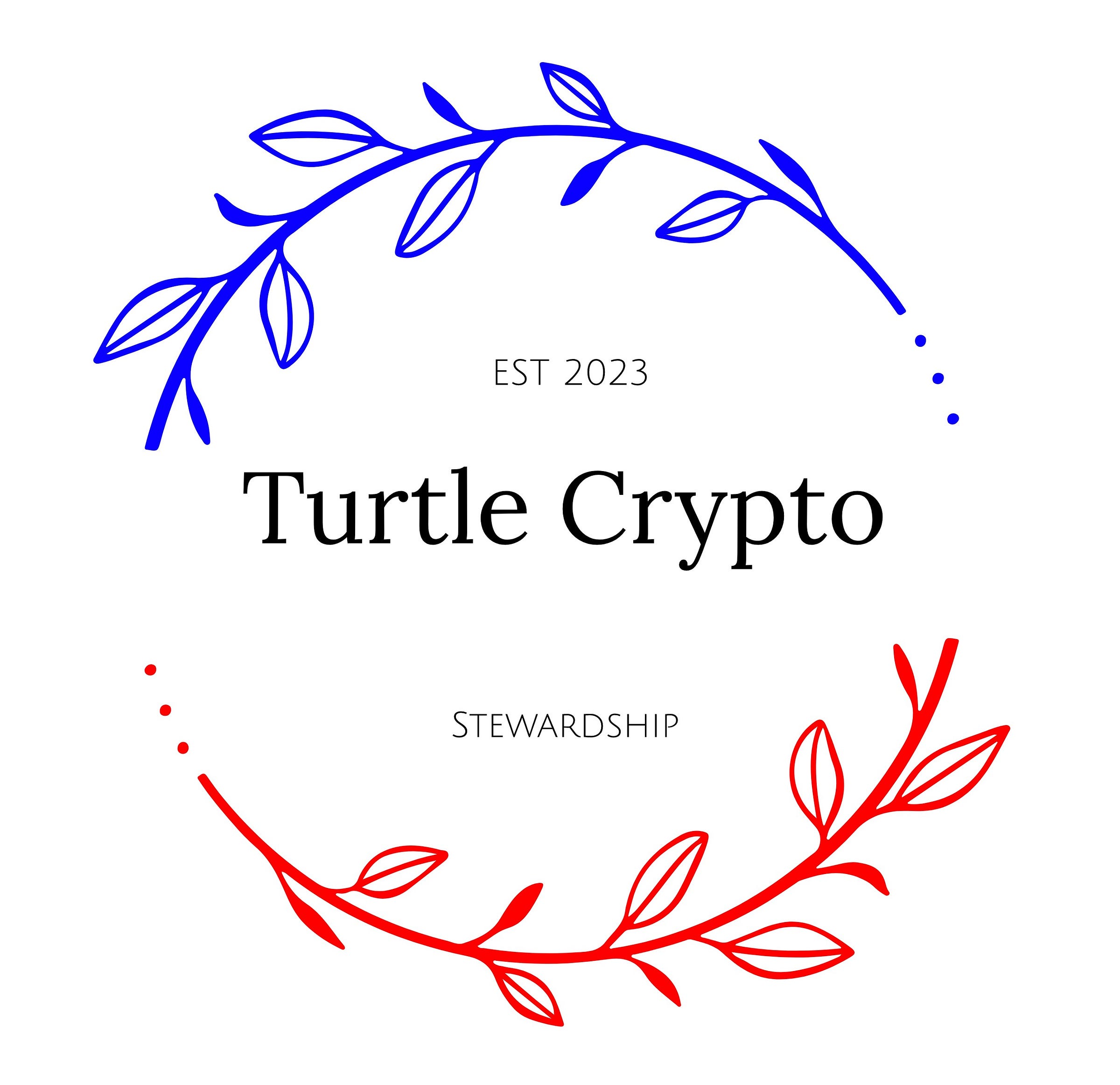 turtle-crypto-medium
