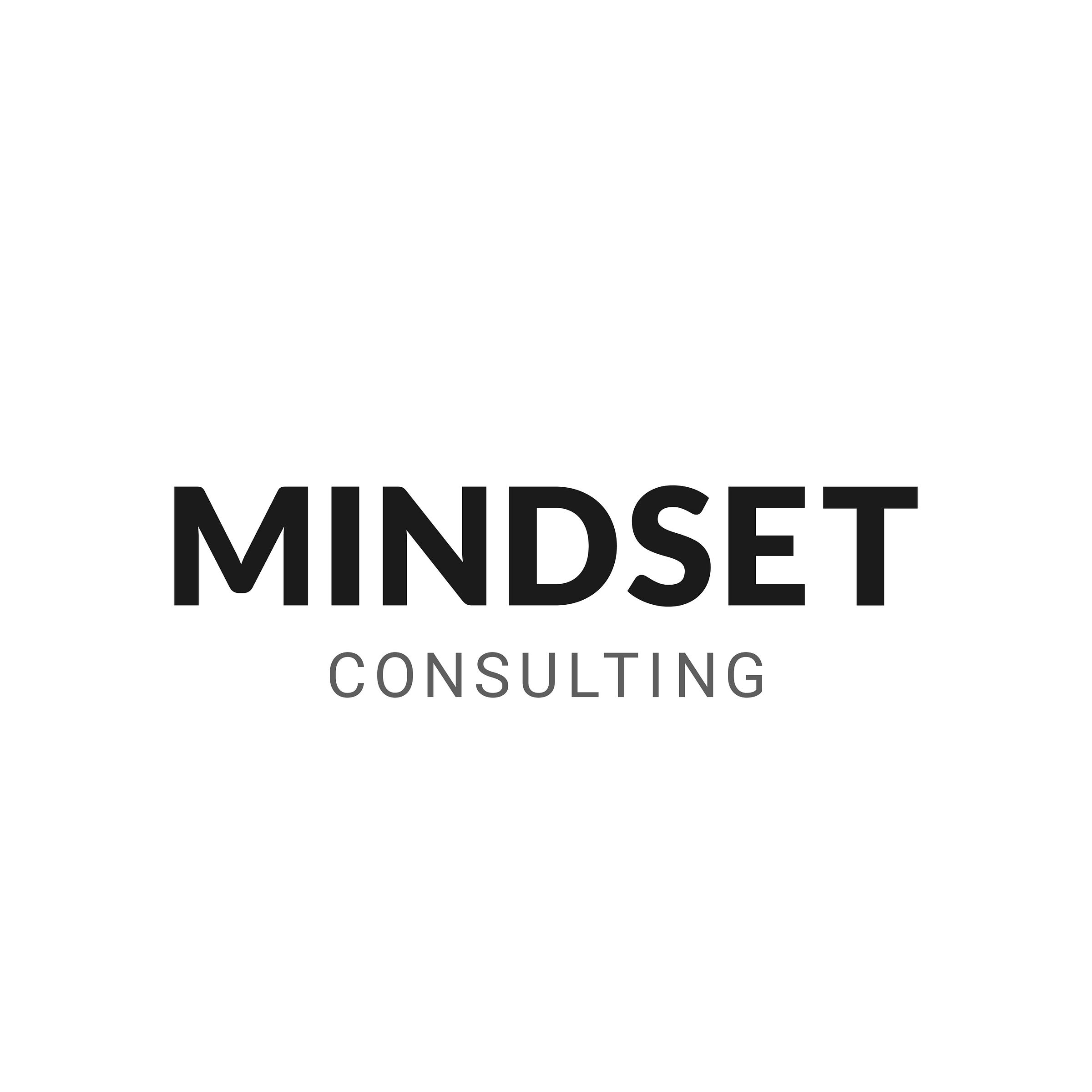 Mindset Consulting – Medium