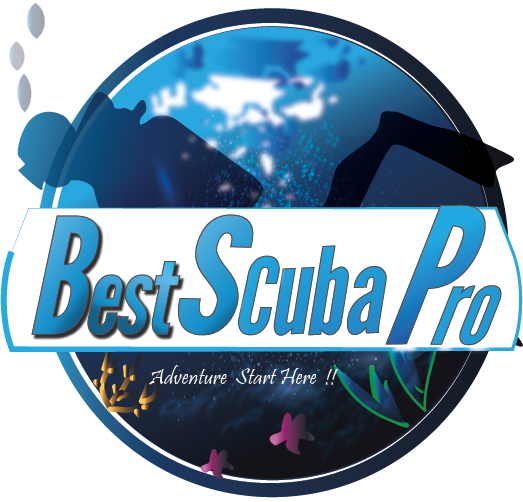 Best Scuba Pro Scuba Adventures Travel Ideas Medium