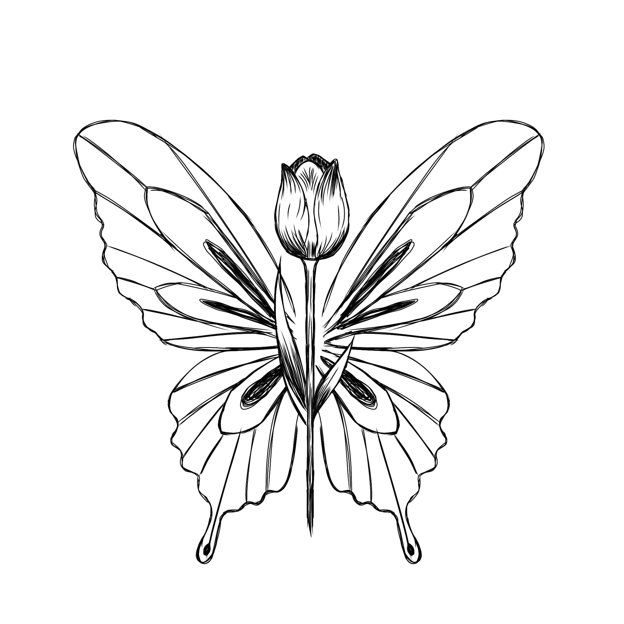 wiru-medium