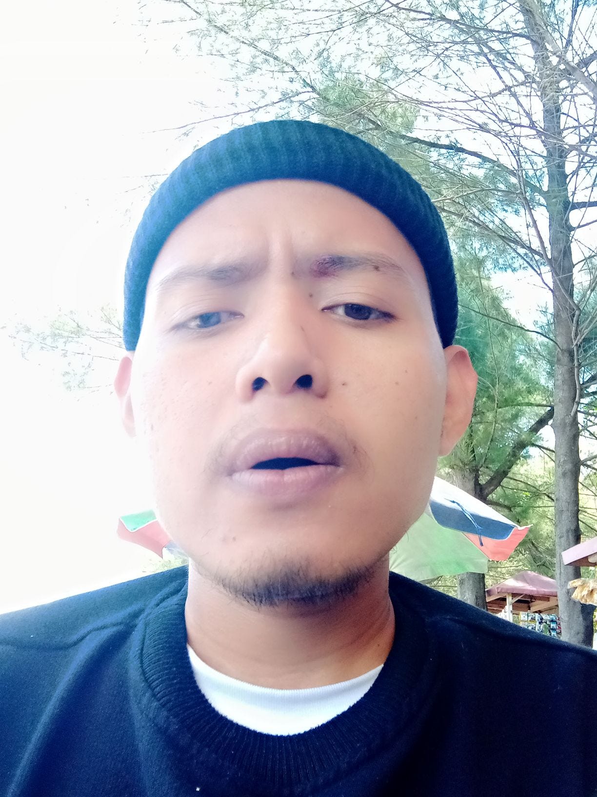 Eriksubagya medium