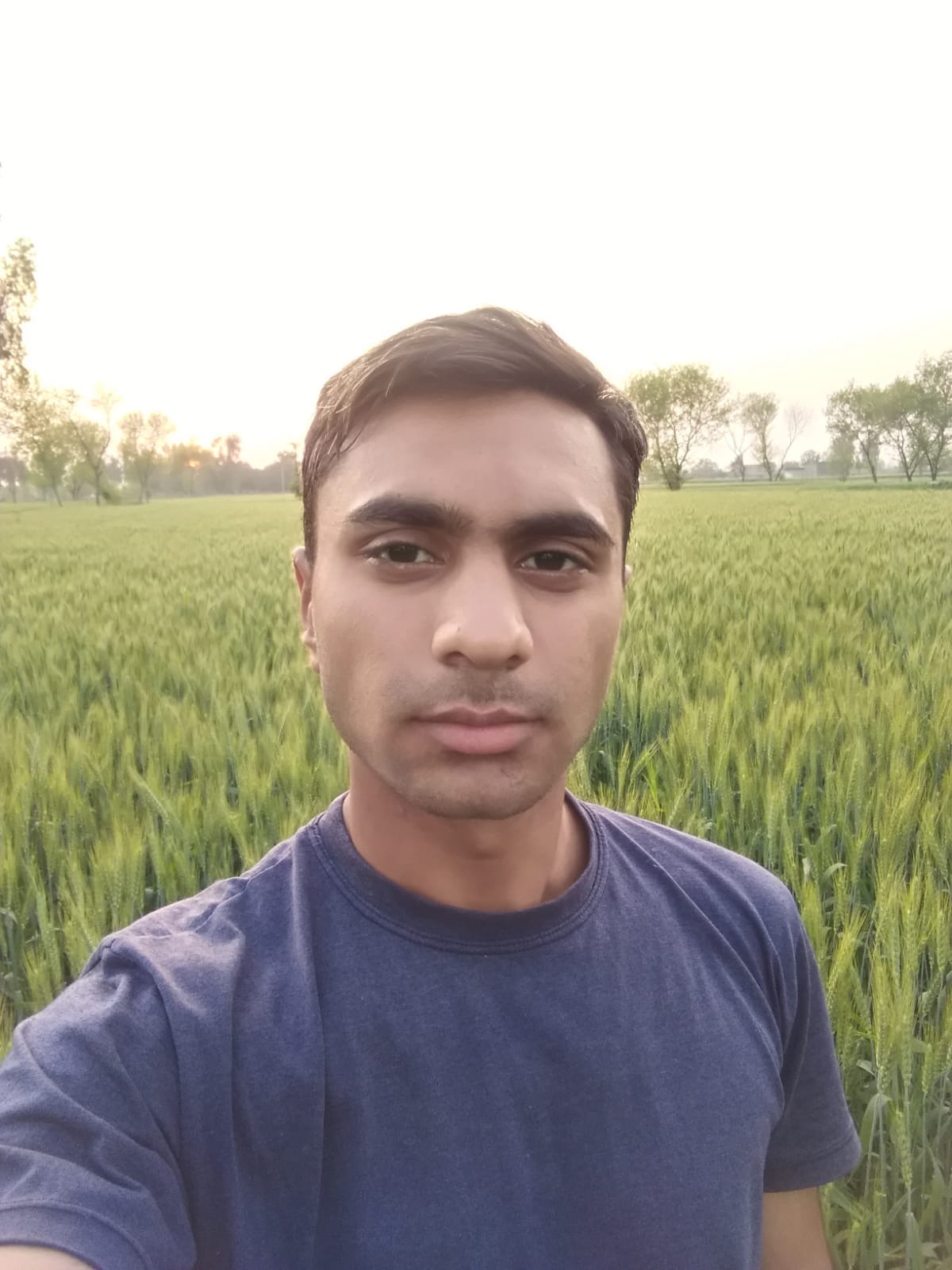 Nouman iqbal medium