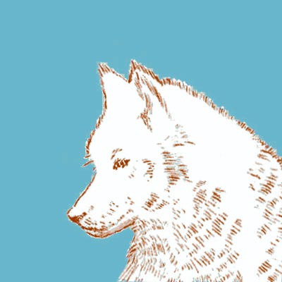 Constellation On A Specific Date Constellation Chart By Date Date And Time Sky Map Night Sky Etsy – Artofit Constellation On A Specific Date Constellation Chart By Date Date And Time Sky Map Night Sky Etsy – Artofit