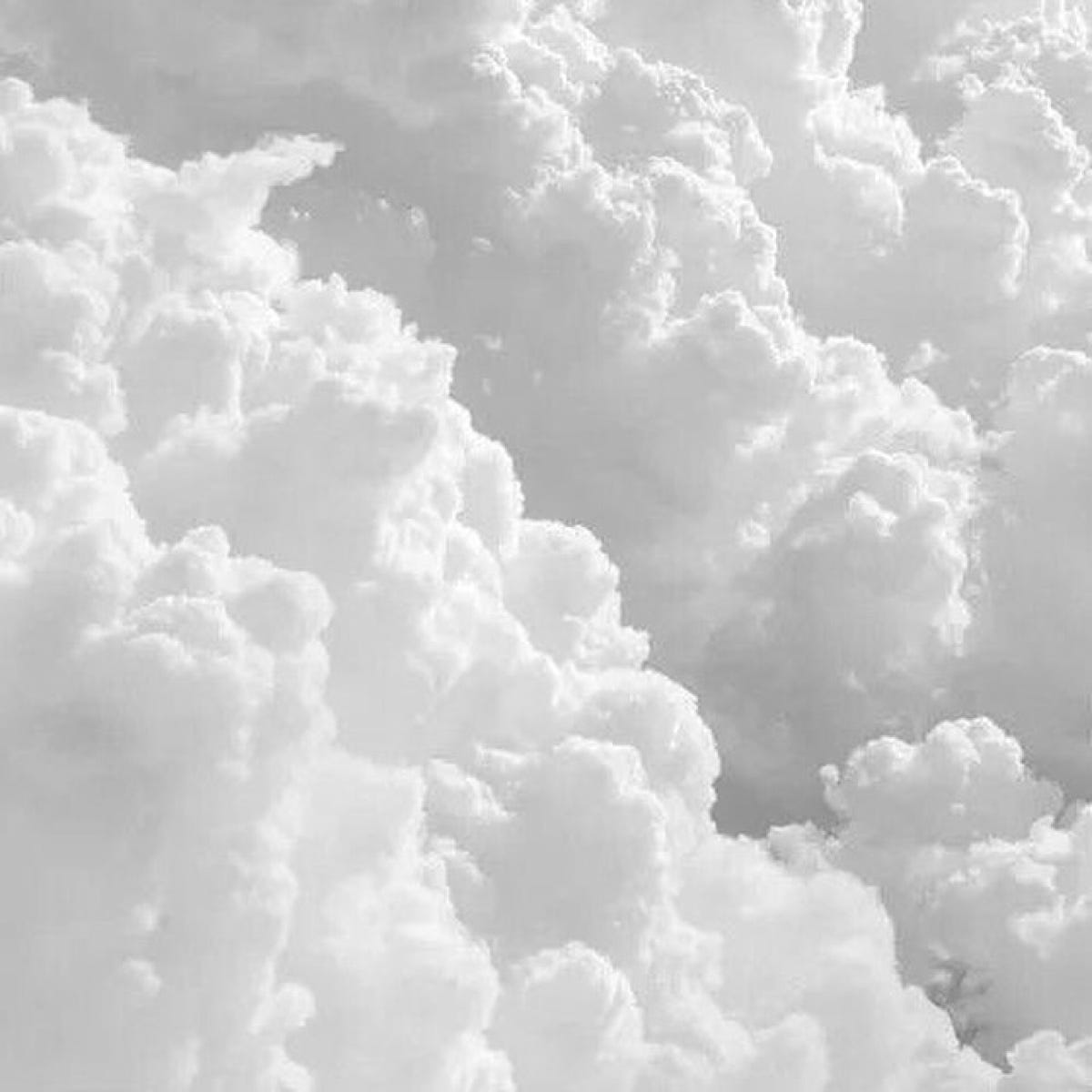 Nathália Lessa Medium