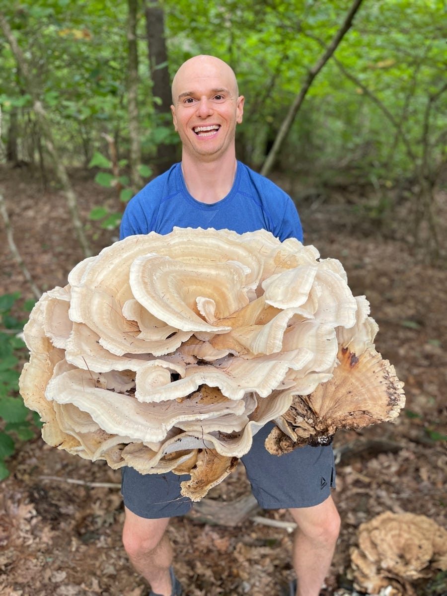 Doug (TV series) intelligence overview