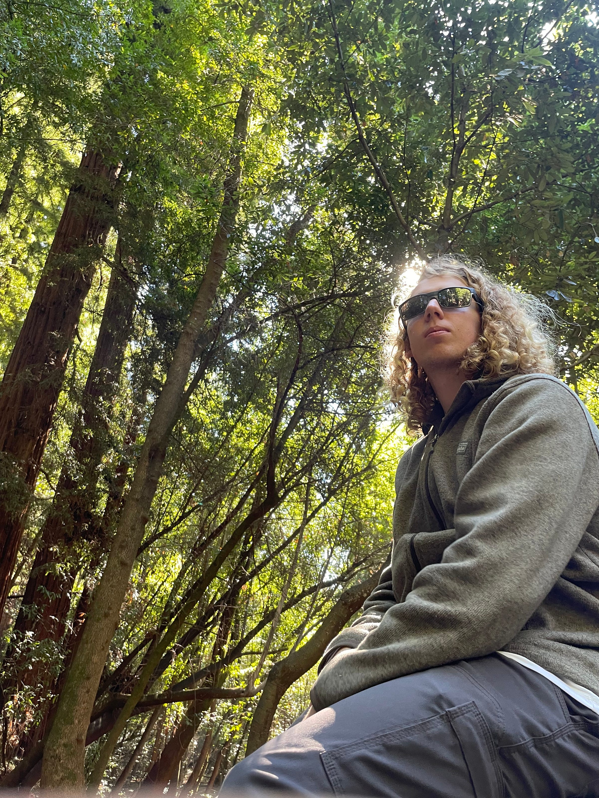 William Haas – Medium