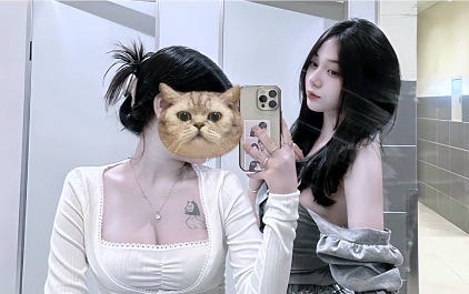 Delvid domeh – Medium