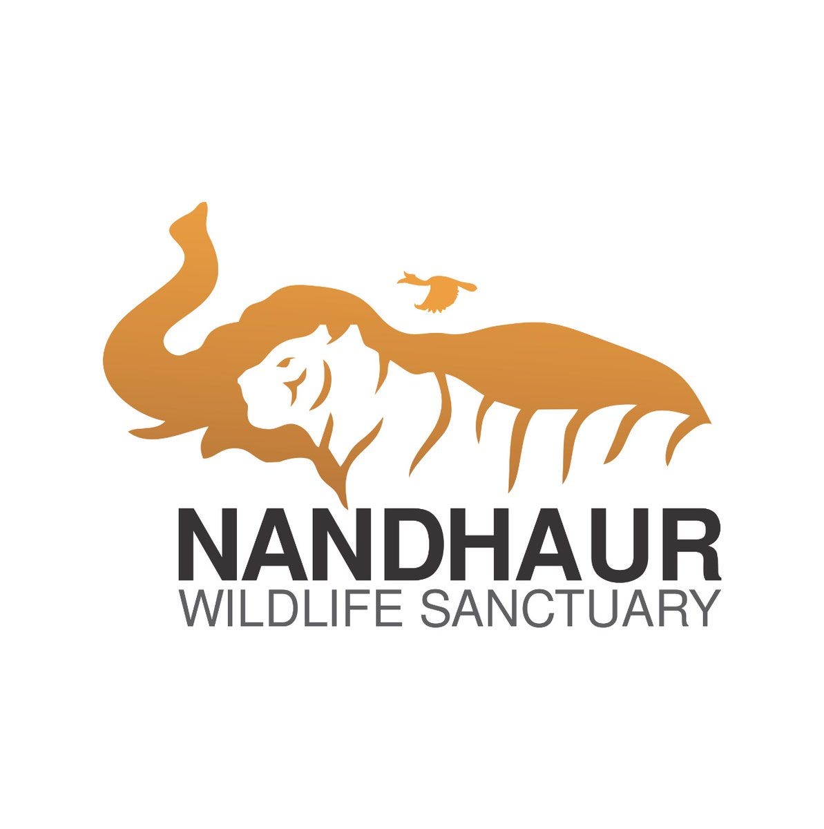 nandhuar-wildlife-sanctuary-medium