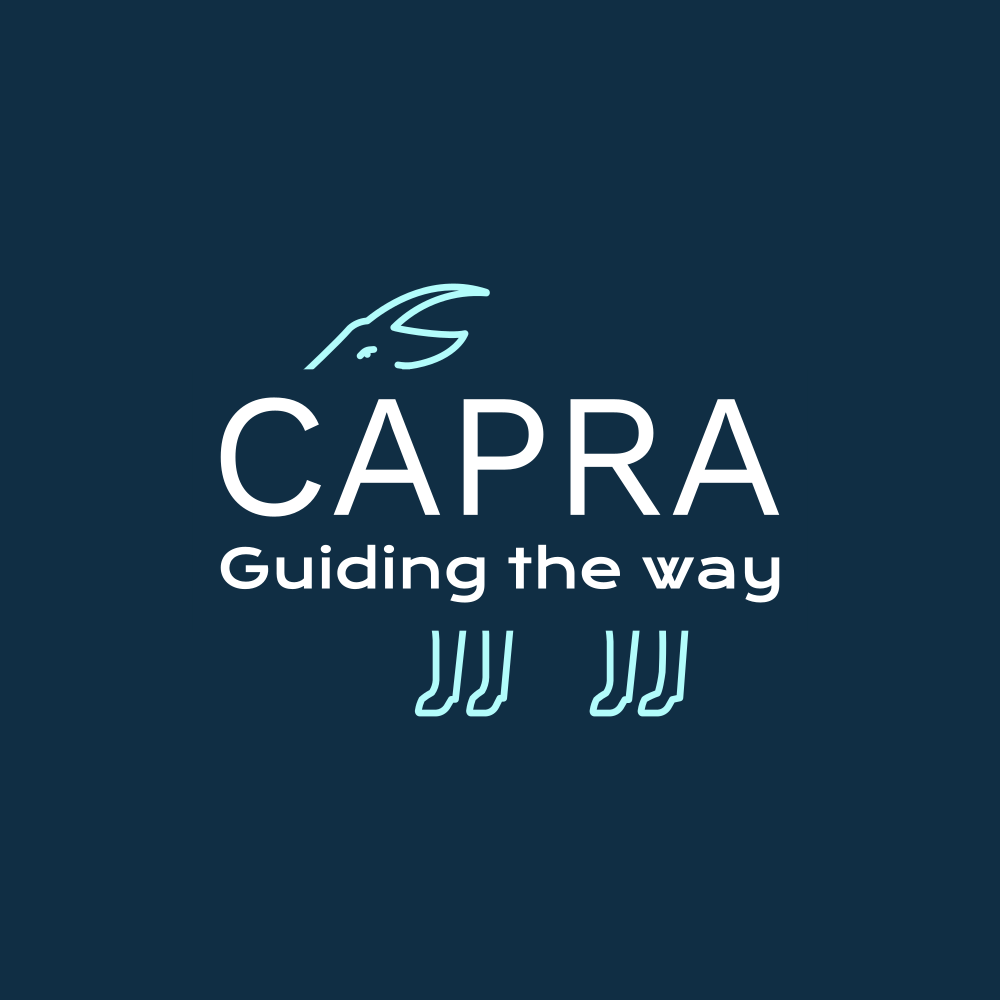 About – Capra – Medium