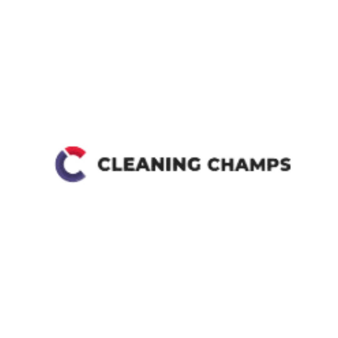 Cleaning Champs Medium cleaning-champs-medium