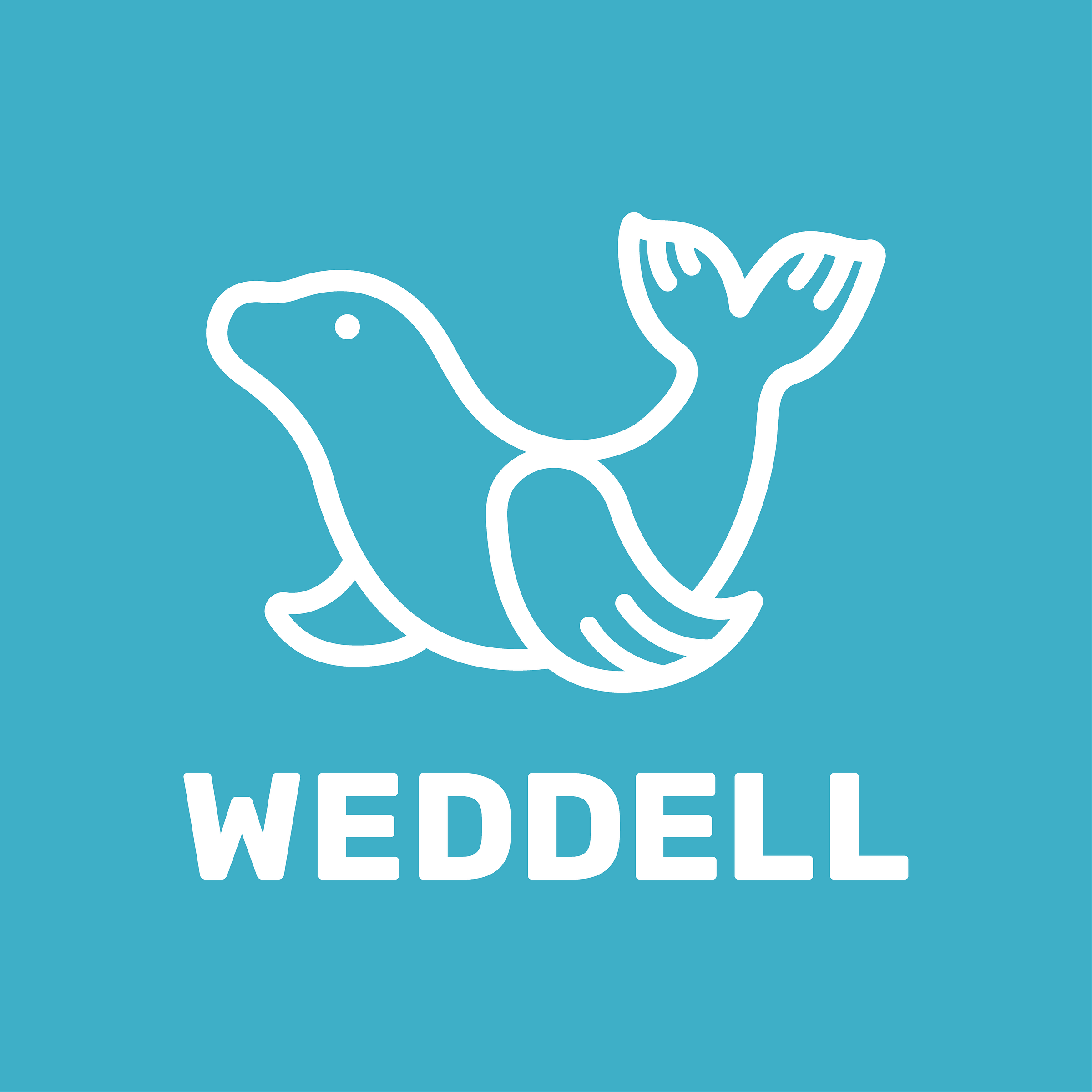 Weddell Medium
