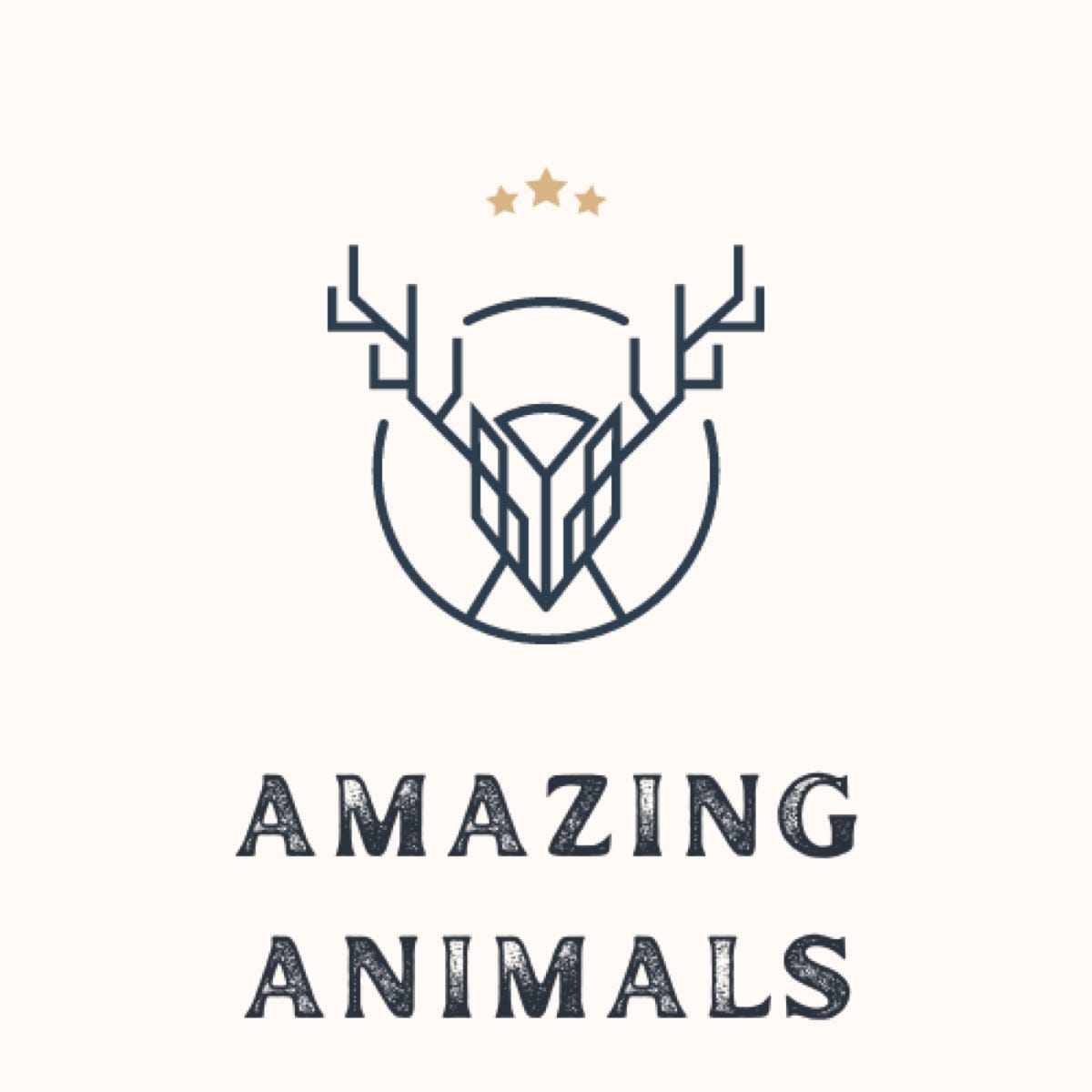 Amazing Animals – Medium