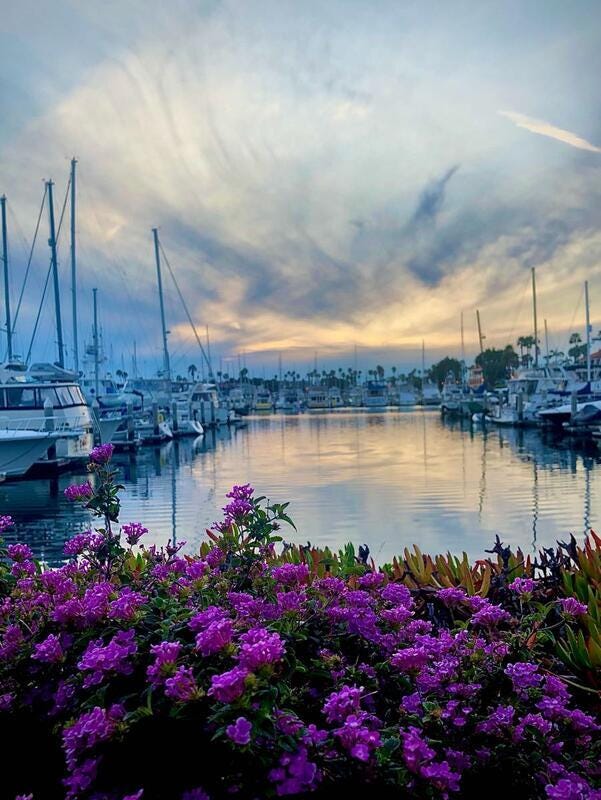 Justin Collard Medium