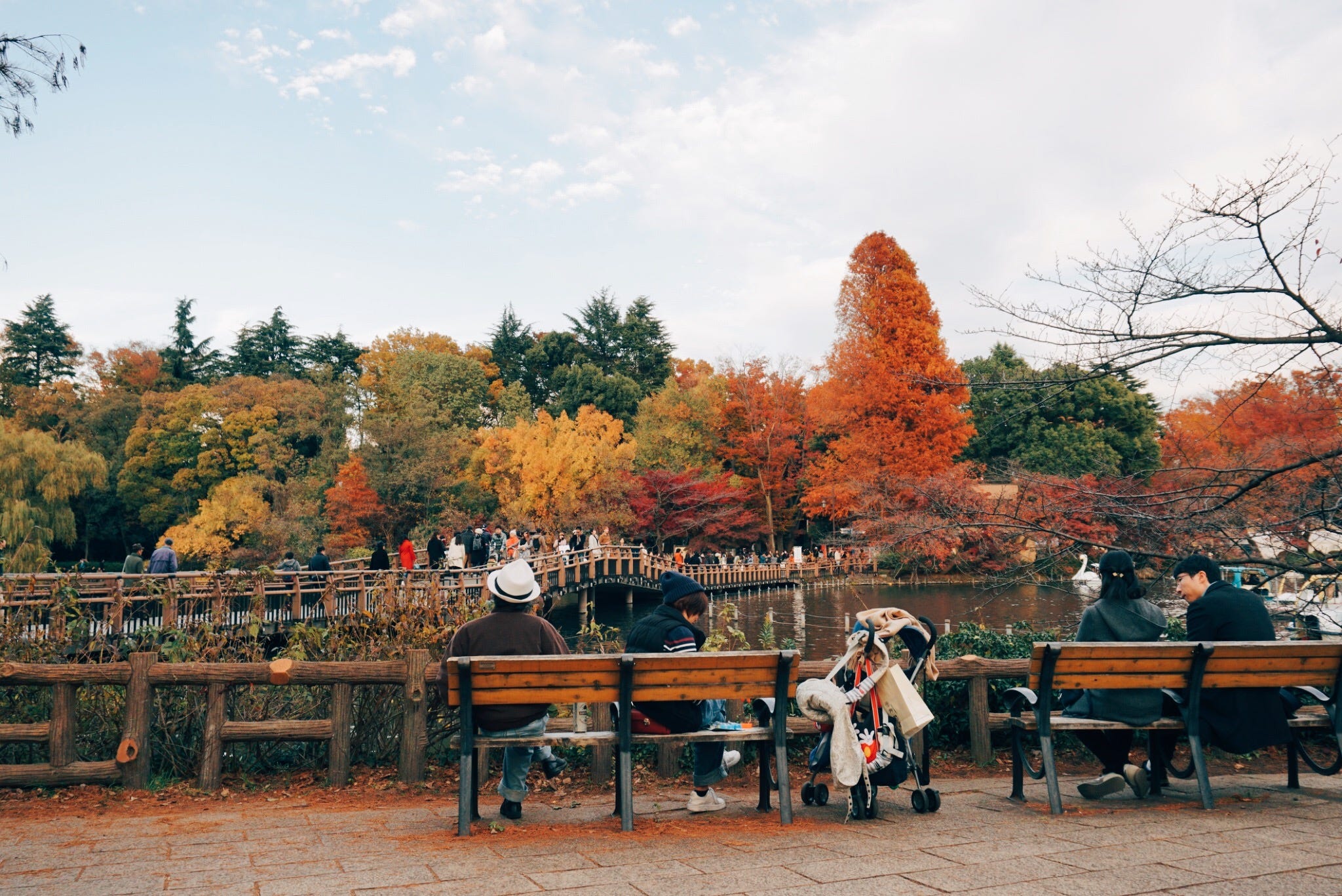 Tien-Ying on Medium curated some lists