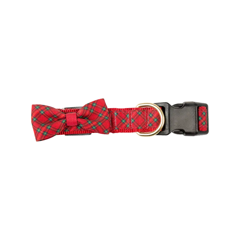 petaccessories-medium