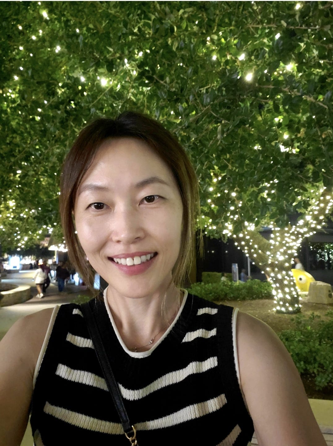 Kat park medium