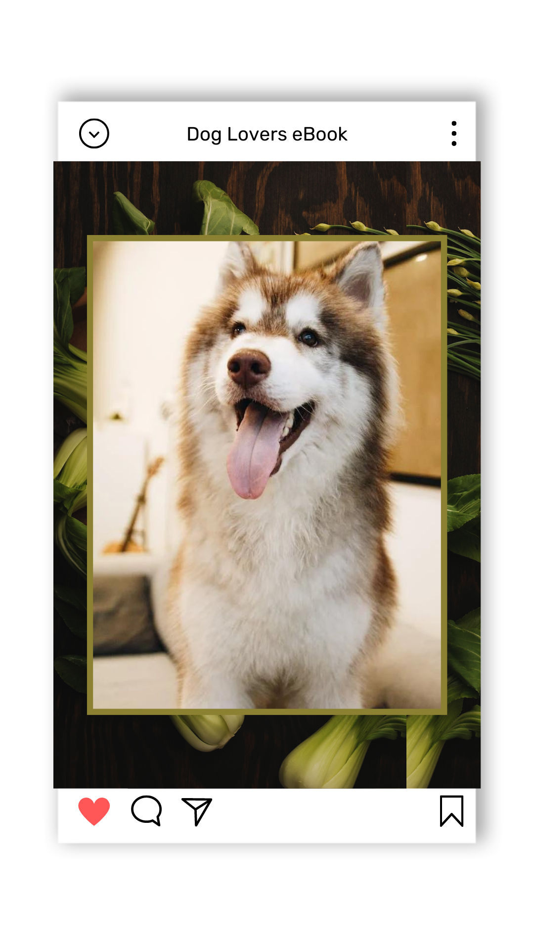 Mastering Dog Training Care Medium mastering-dog-training-care-medium