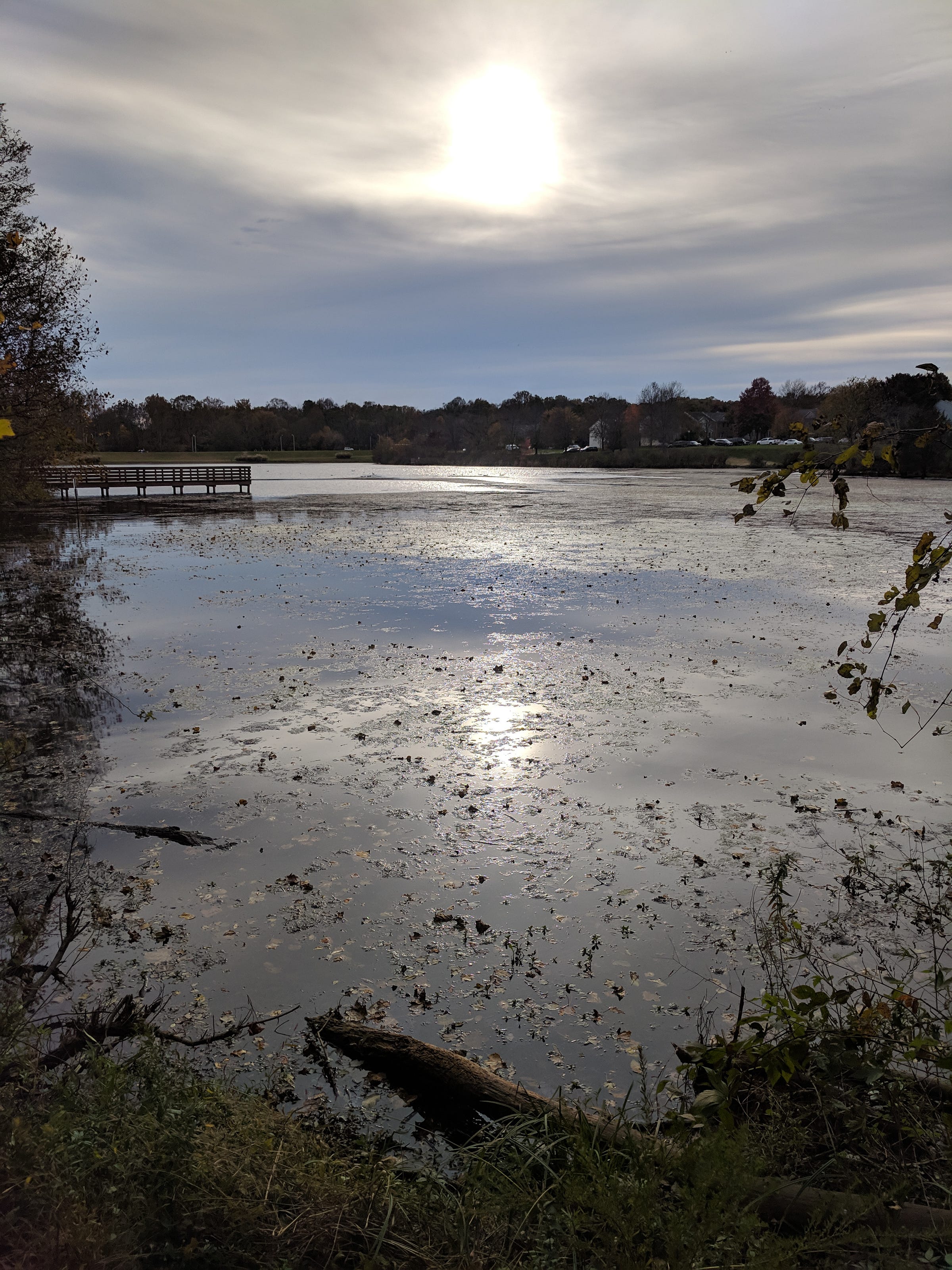 Anne Amaya – Medium