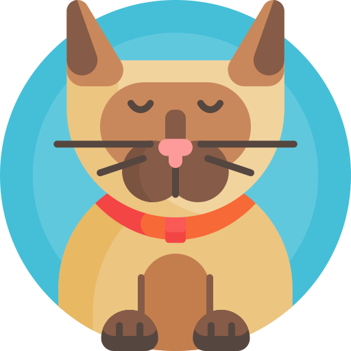 Why Is My Cat Throwing Up And Lethargic at Joseph Jacobson blog