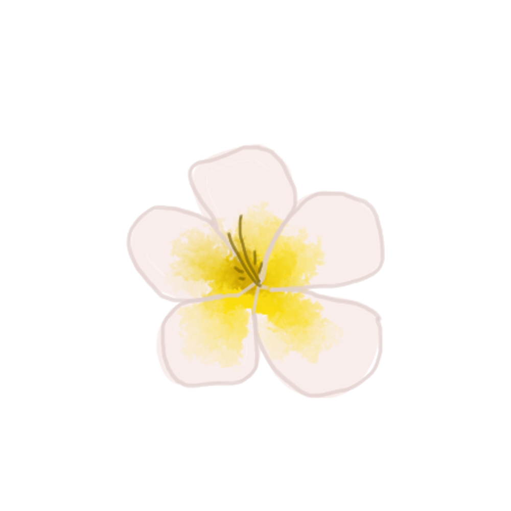 Clover medium