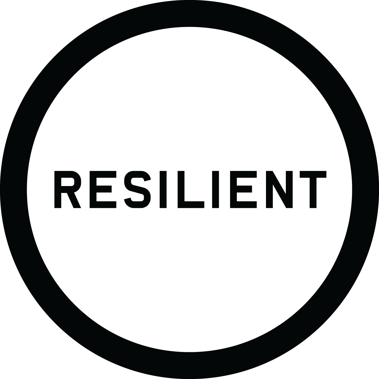 100 Resilient Cities Medium