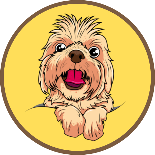 DailyDogs Medium dailydogs-medium